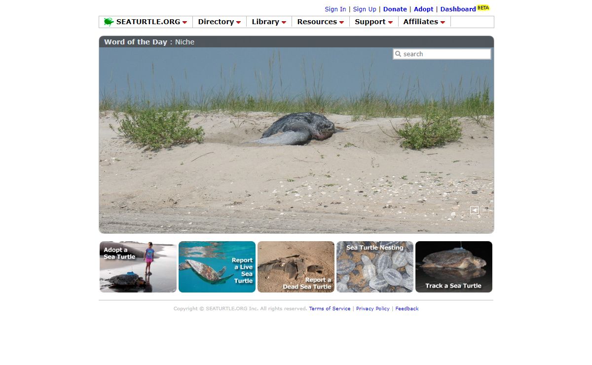 SEATURTLE.ORG - Global Sea Turtle Network