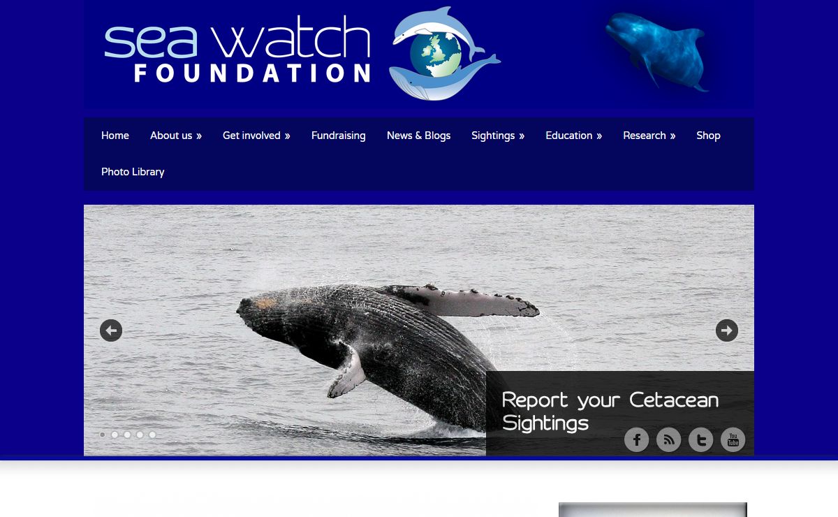 Sea Watch Foundation