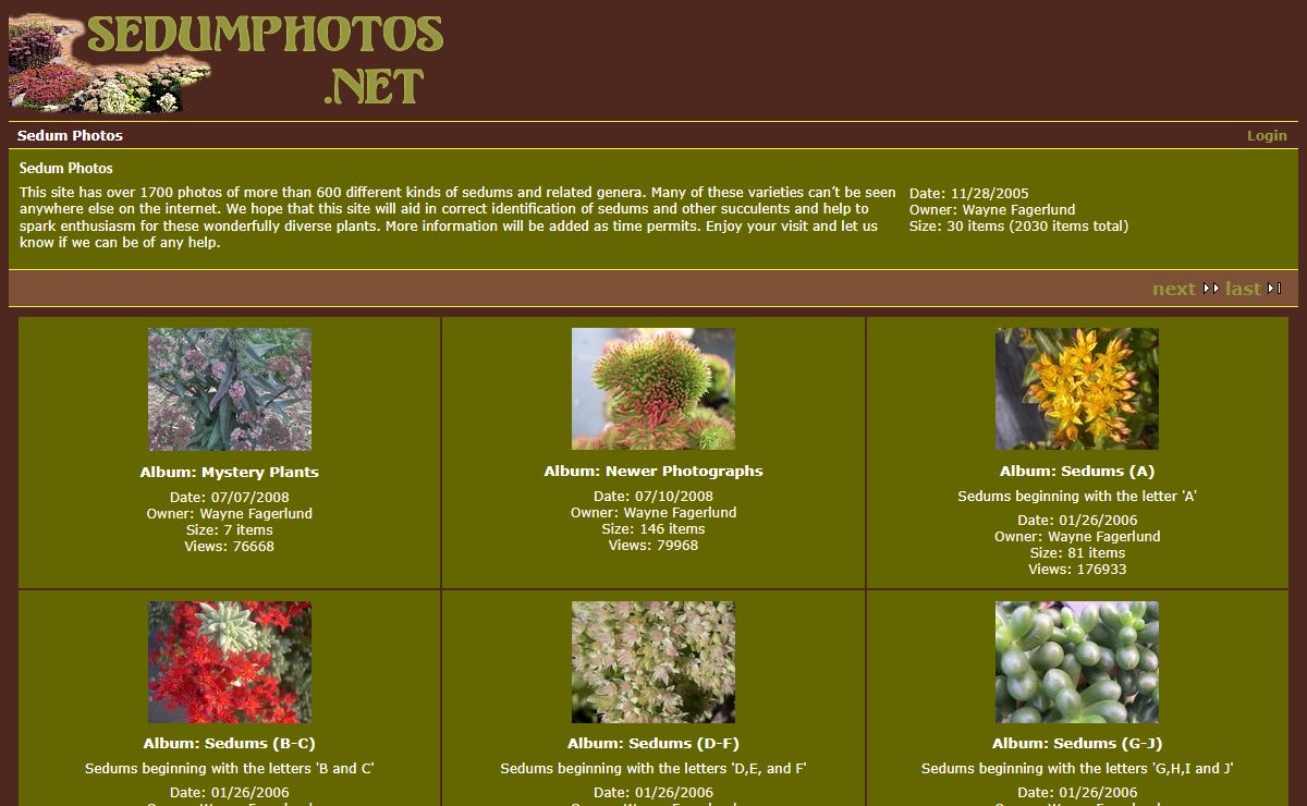 Sedum Photos