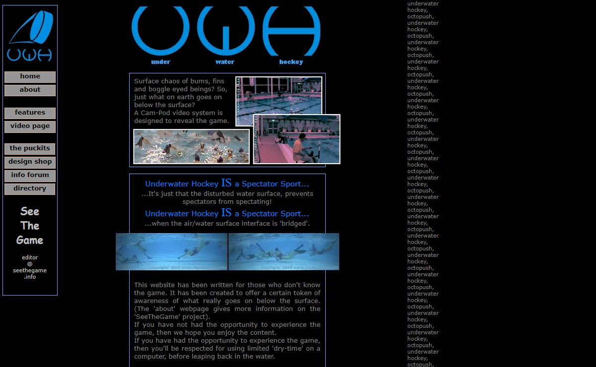 SeeTheGame.info homepage