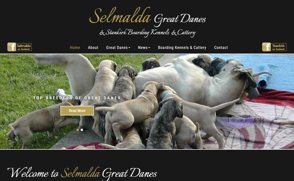 Selmalda Great Danes | Home