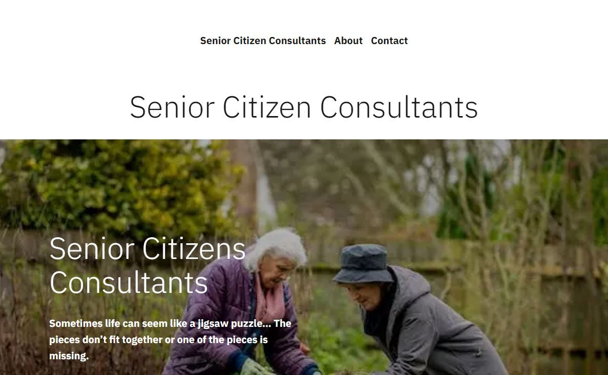 Senior Citizens Consultants – Supporting Seniors Through Transitions