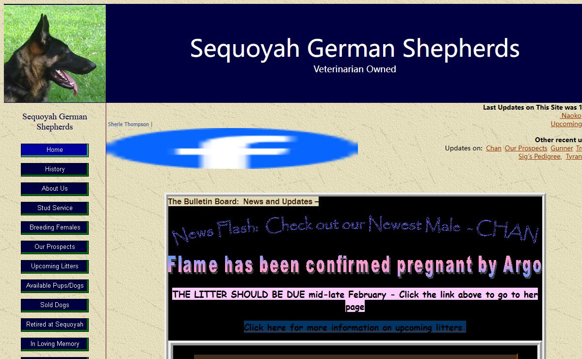 Sequoyah German Shepherds