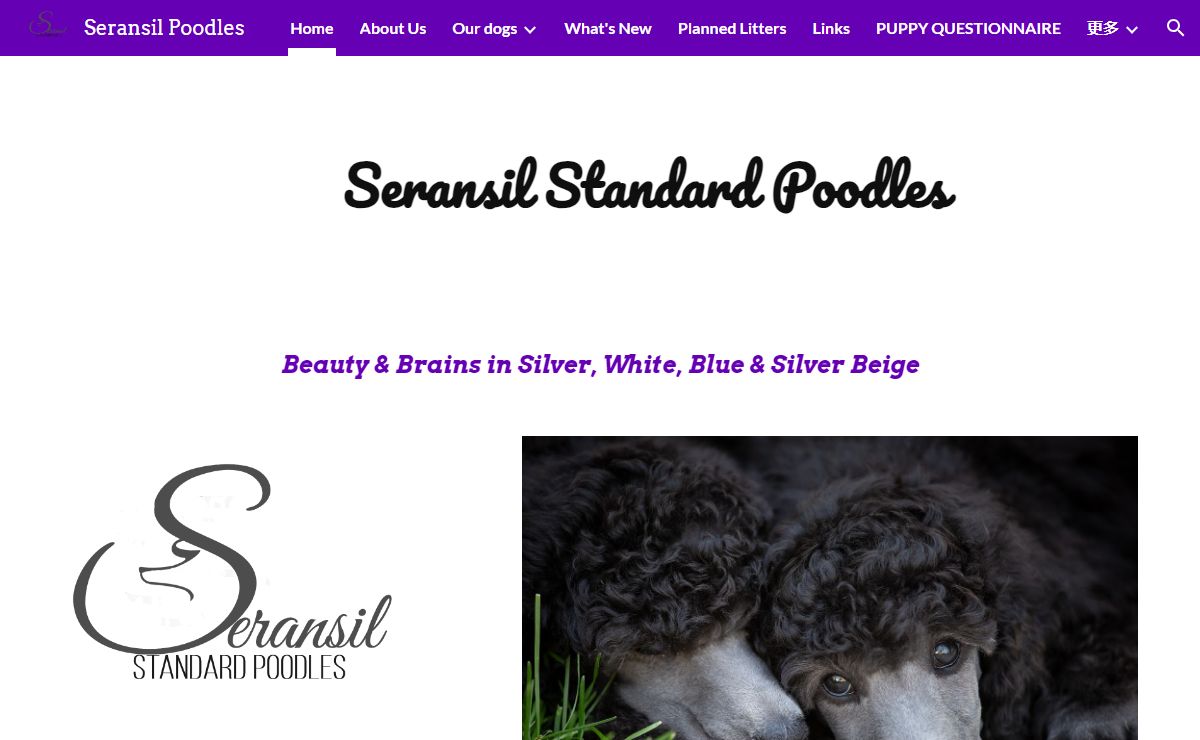 Seransil Poodles