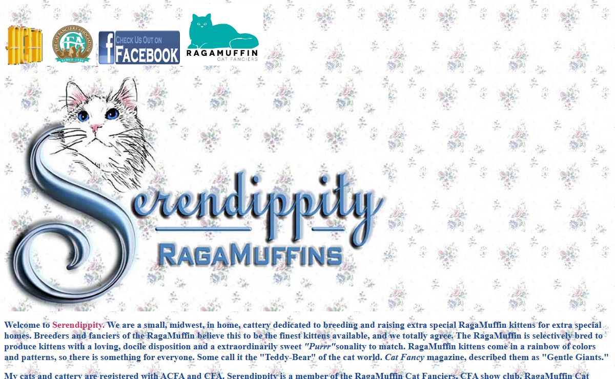 Ragamuffin Kittens for Sale Illinois & Ragamuffin Kitten Breeder | Serendippity Ragamuffins