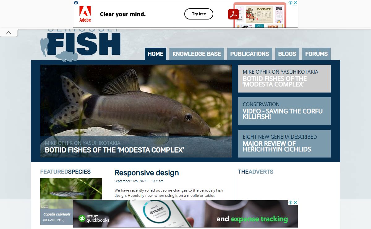 Seriously Fish — Feeling fishy?