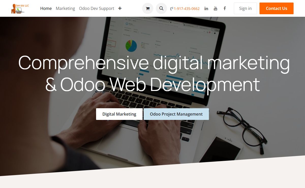 Serr.biz LLC Digital Marketing, SEO and Odoo Consultant