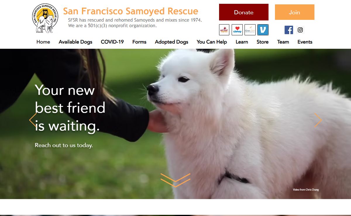 Home | San Francisco Samoyed Rescue