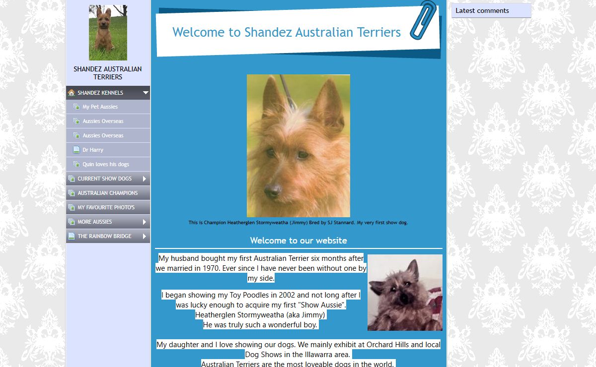SHANDEZ KENNELS - www.shandezaustralianterriers.com