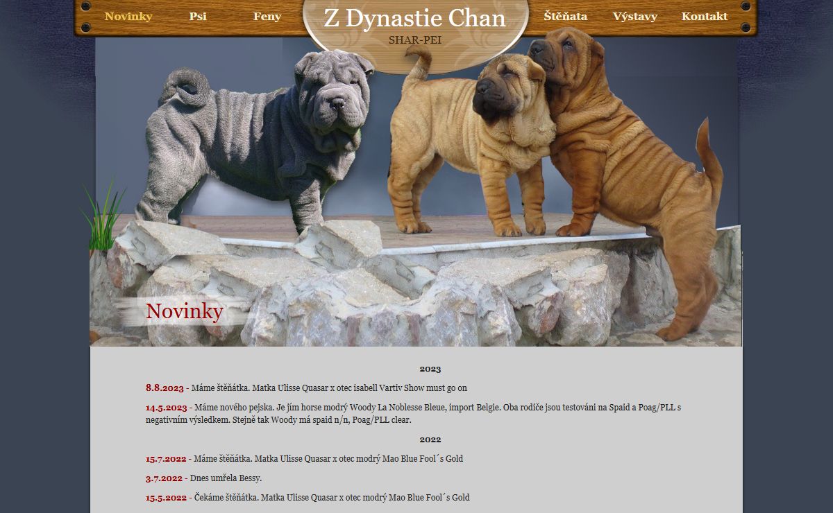 Z Dynastie Chan chovná stanice psů plemene shar-pei