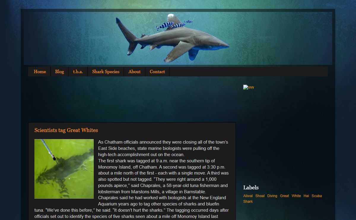 Shark Society