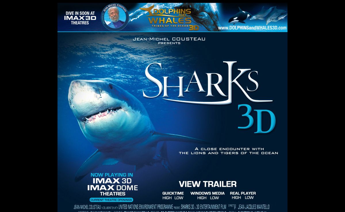 SHARKS 3D AT IMAX 3D THEATRES - The Official Movie Website