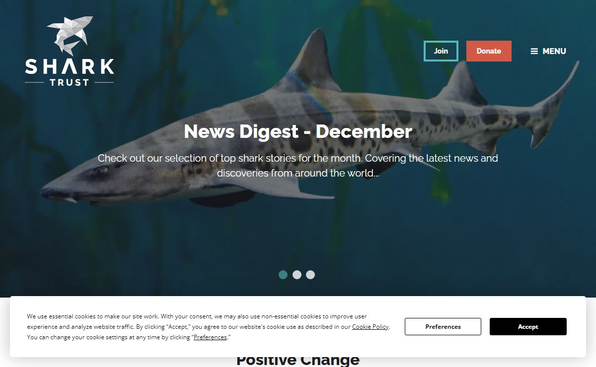 The Shark Trust