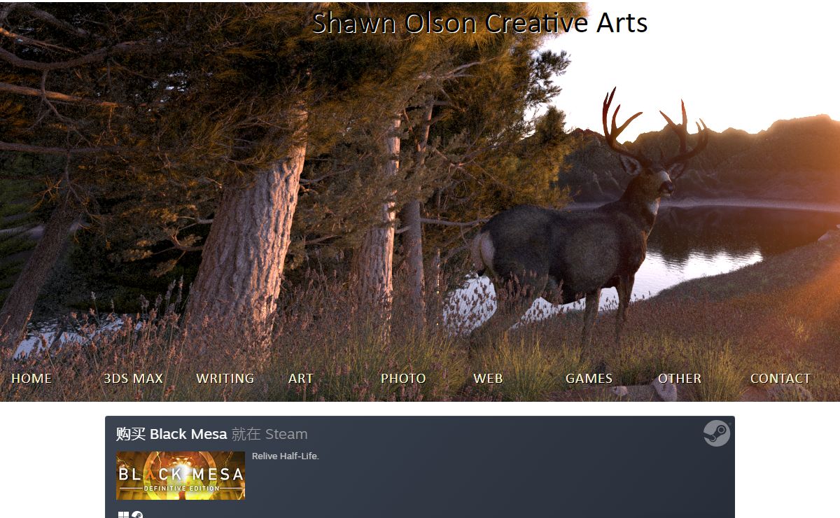 Shawn Olson Creative Arts