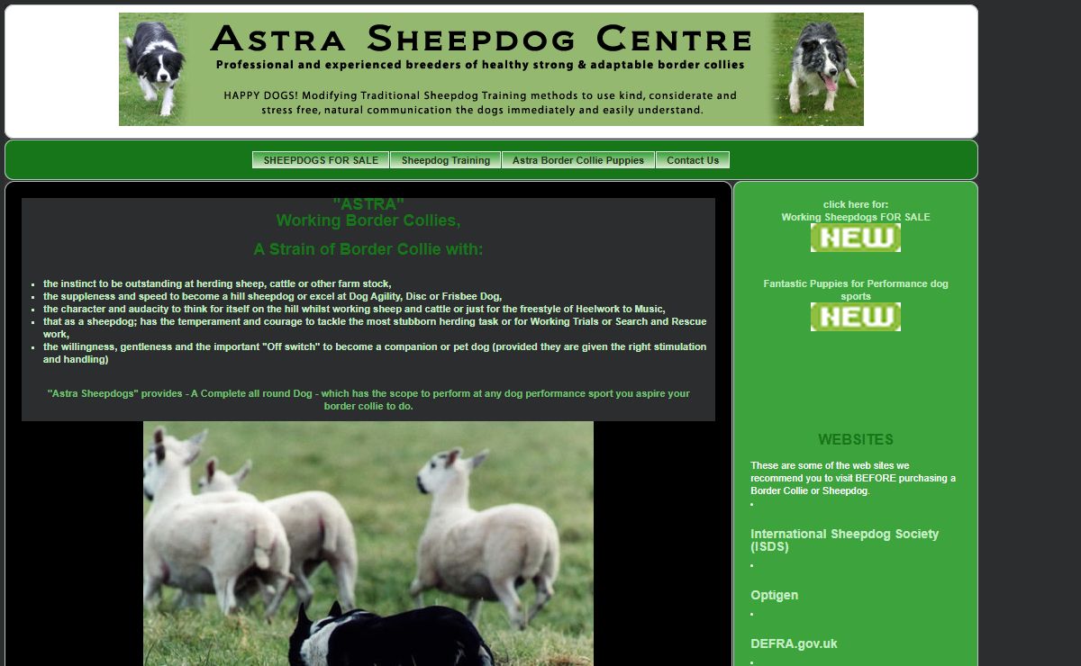 Astra Sheepdog Training Centre - Home Page