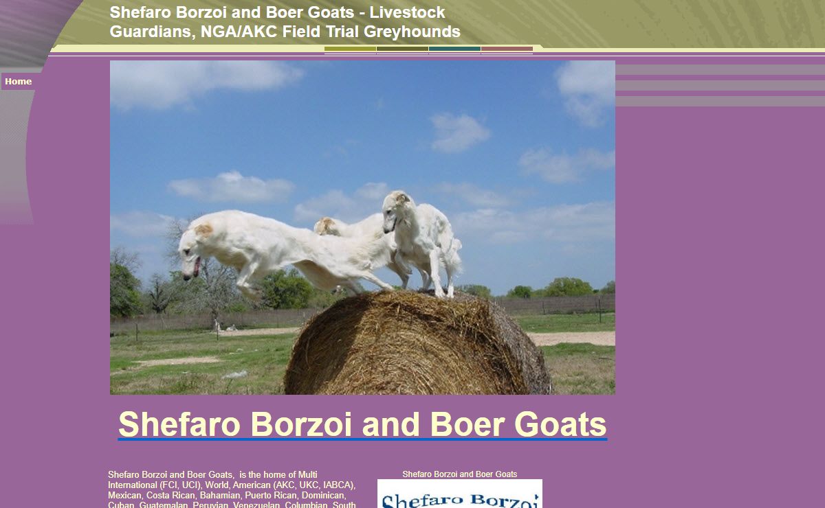 Shefaro Borzoi and Boer Goats - Livestock Guardians, NGA/AKC Field Trial Greyhounds
