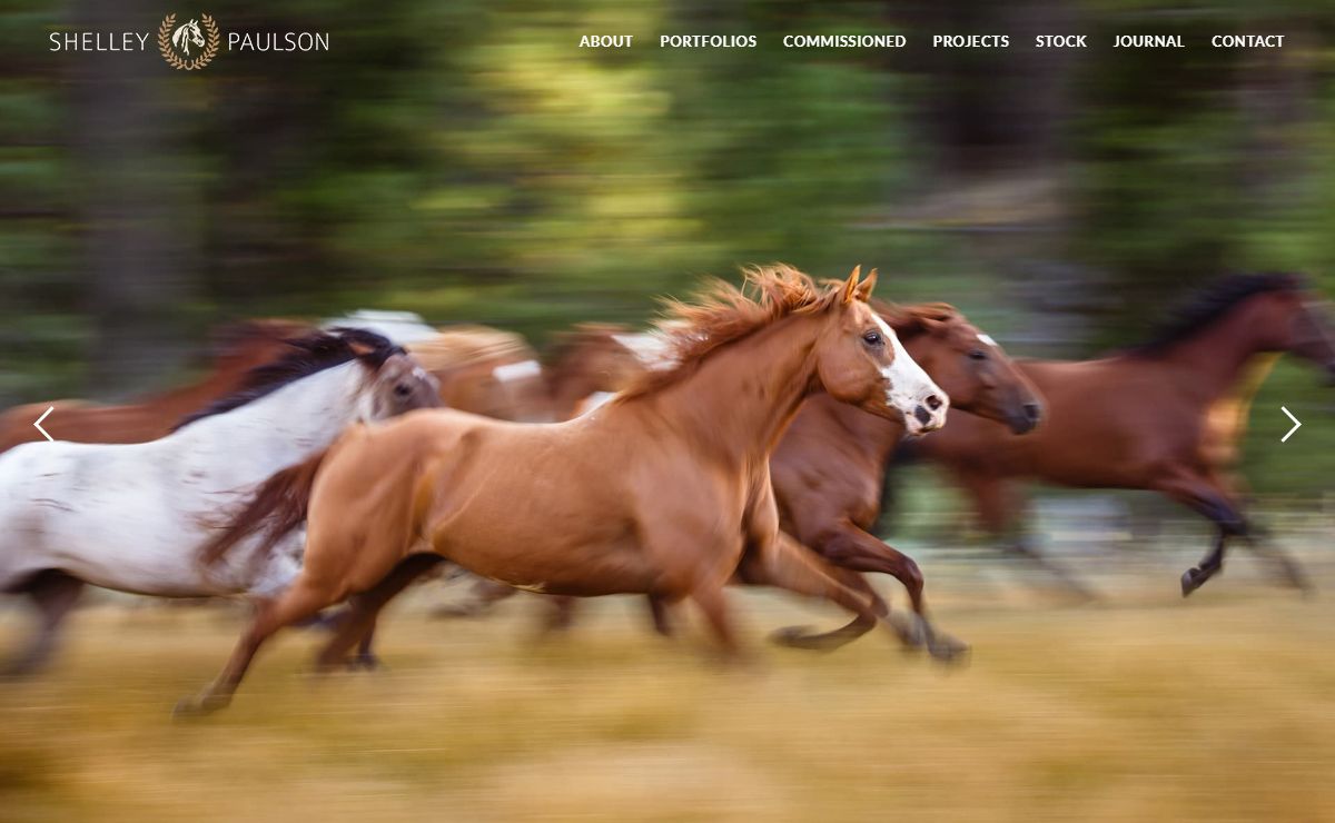 Shelley Paulson Photography - Shelley Paulson Photography