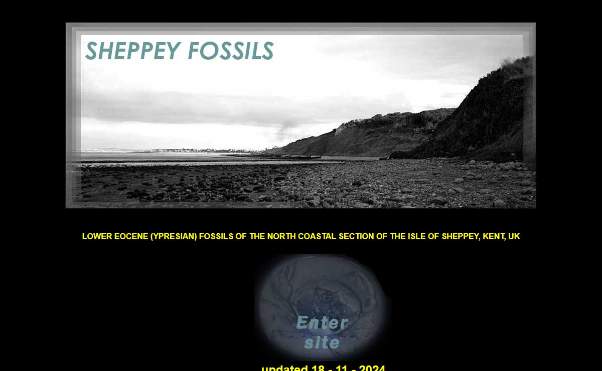 london_clay_eocene_fossils_of_the_isle_of_sheppey