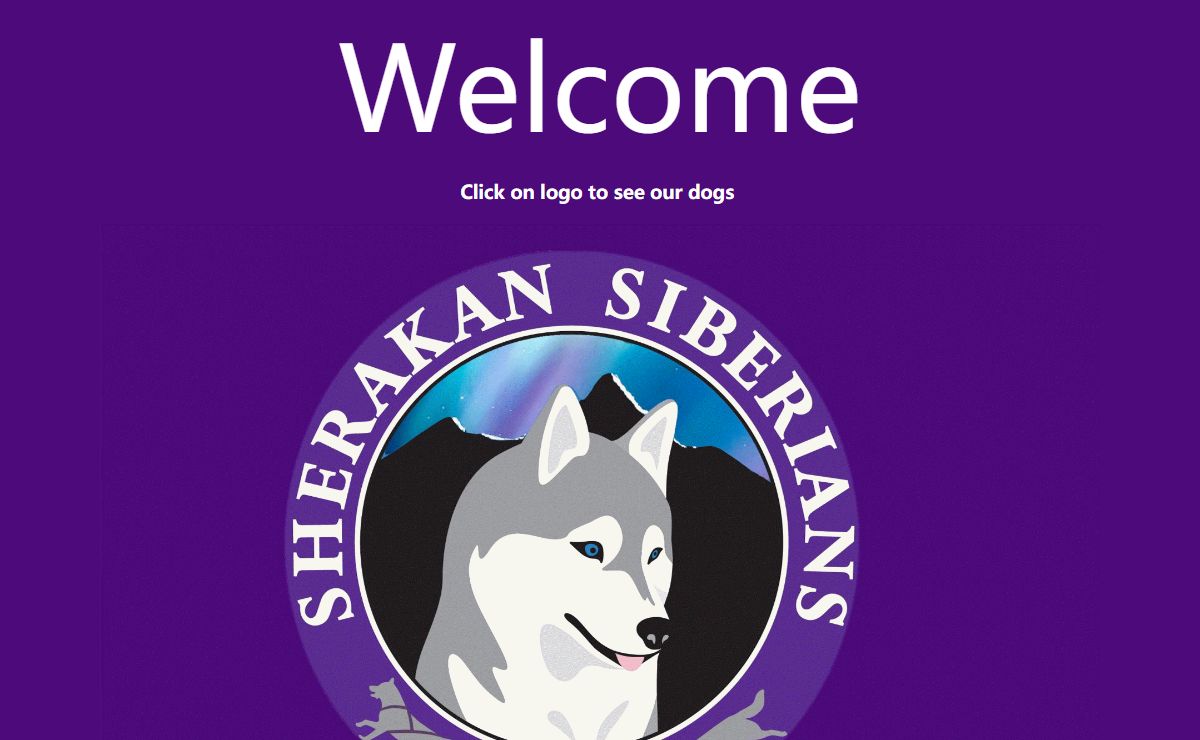 Sherakan Perm Reg'd Siberians