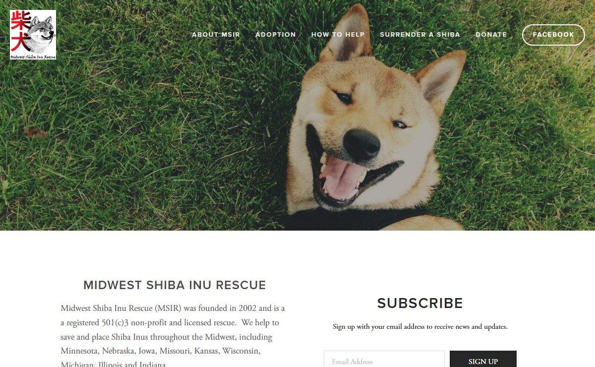 Midwest Shiba Inu Rescue