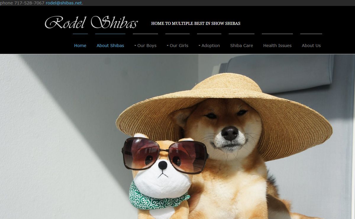 Rodel Shibas