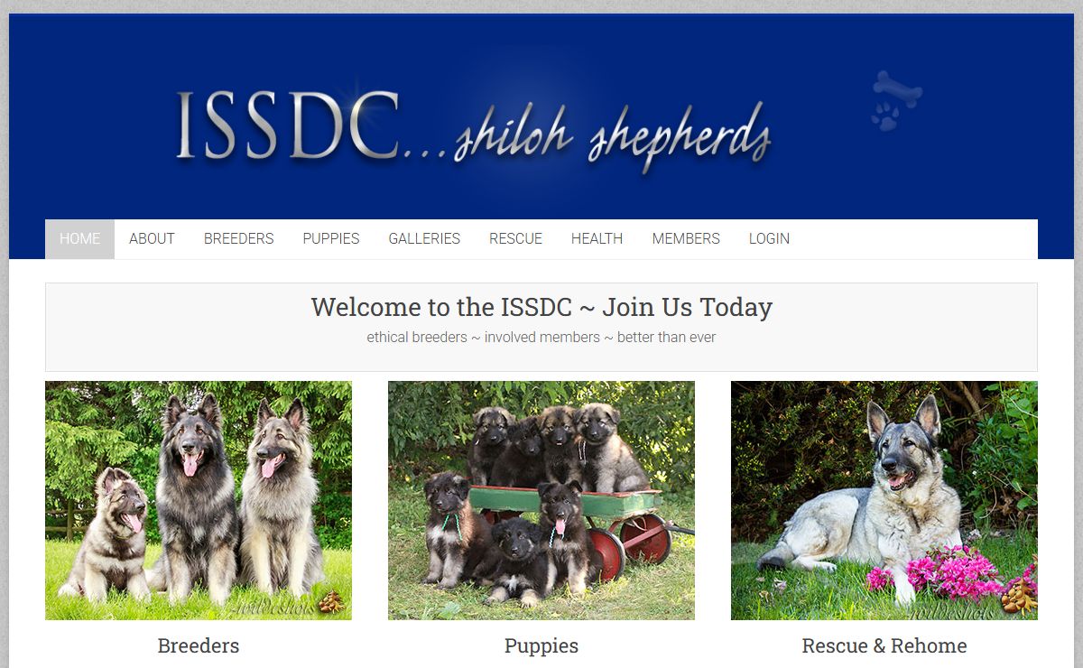 ISSDC – International Shiloh Shepherd Dog Club