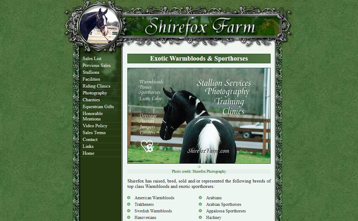 Warmblood Sporthorses of Shirefox Farm | American Warmbloods - Draft Cross - Hanoverian - Hunters - Dressage