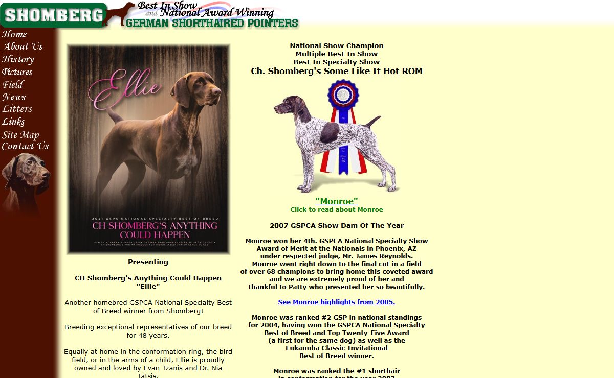 Welcome To Shomberg German Shorthaired Pointers