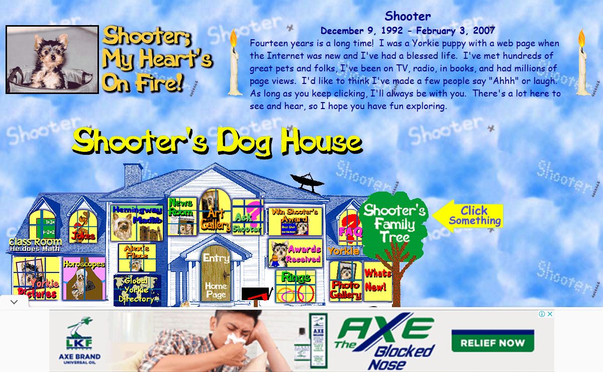 Shooter's Yorkie Doghouse of Fun | Famous Yorkshire Terrier