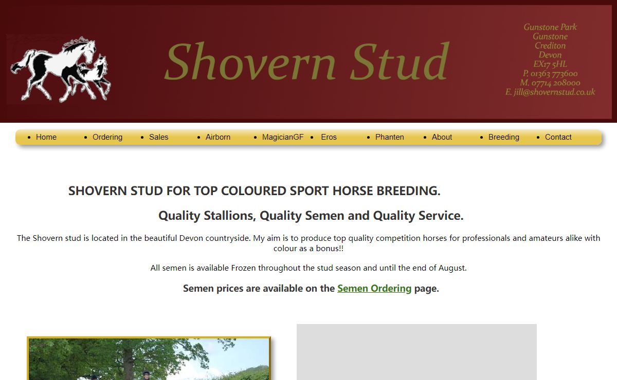 SHOVERN STUD FARM TOP COLOURED SPORT HORSE BREEDING AND HORSE SALES.