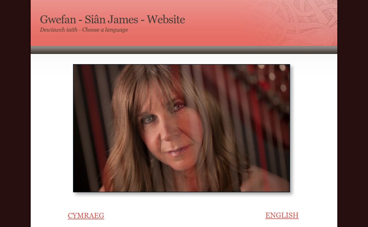 Siân James 2013