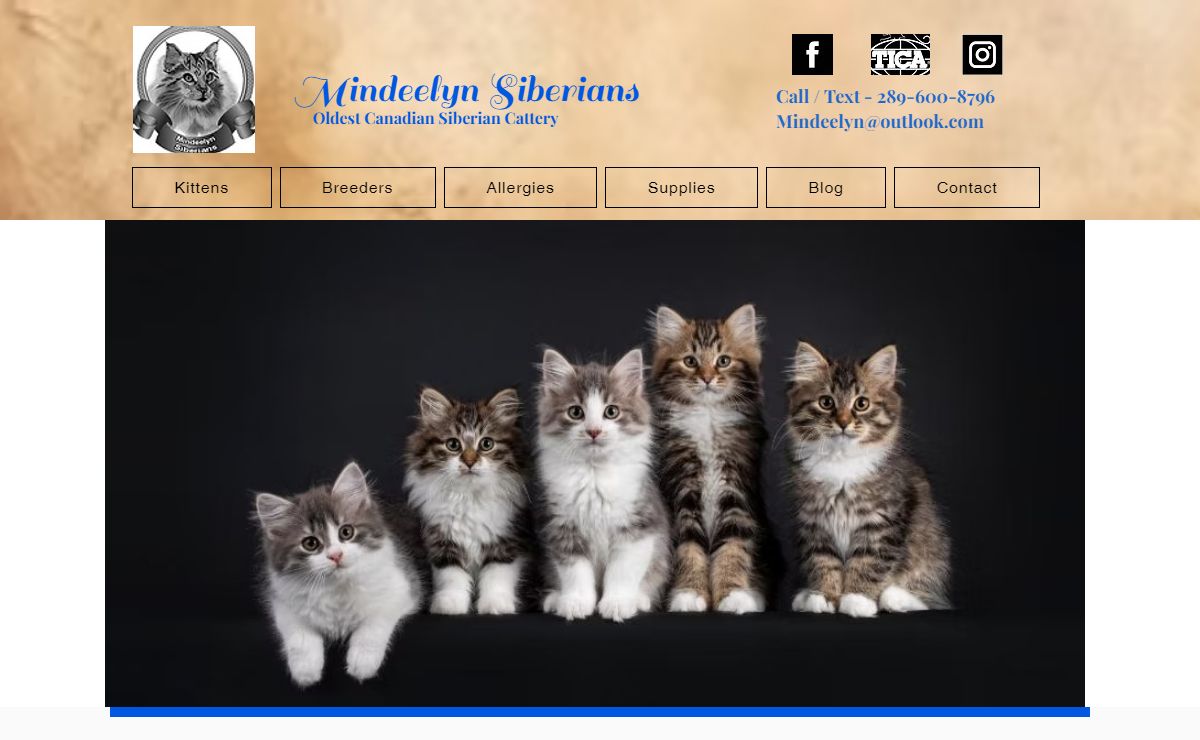 Mindeelyn Siberians | Siberian Kittens for Sale | Ontario, Canada
