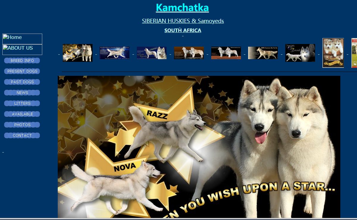 Kamchatka Siberian Huskies