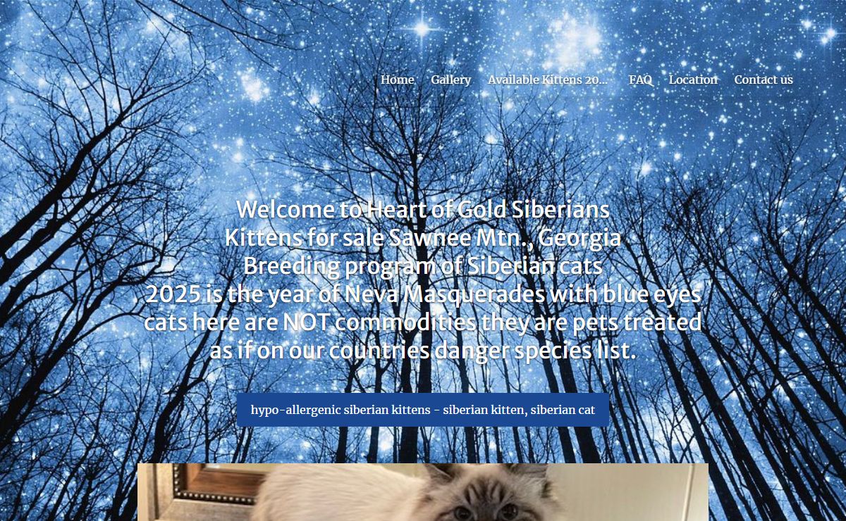 Home - Heart Of Gold Siberian Cattery Usa Ga