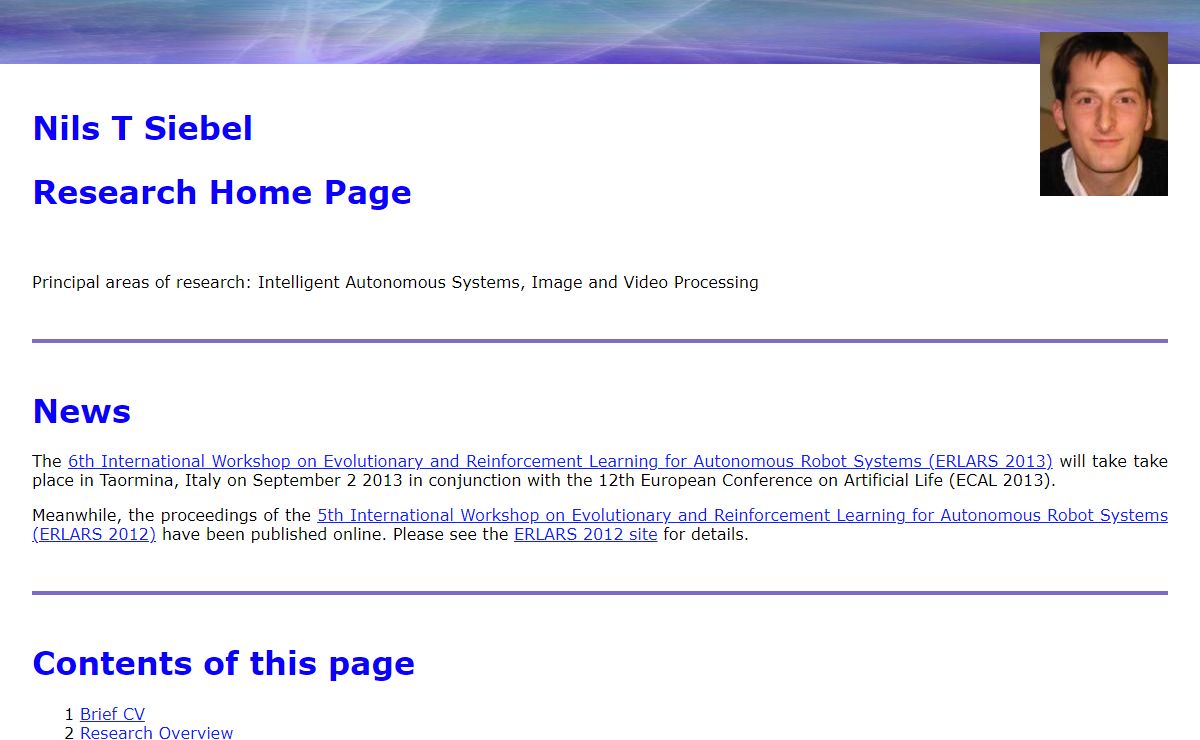Nils T Siebel - Research Pages