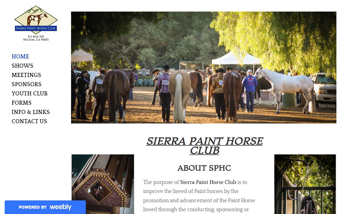 Sierra Paint Horse Club - Home
