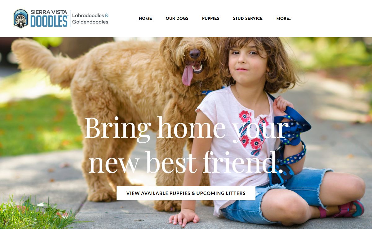SIERRA VISTA LABRADOODLES & GOLDENDOODLES - Sierra Vista Doodles | Home