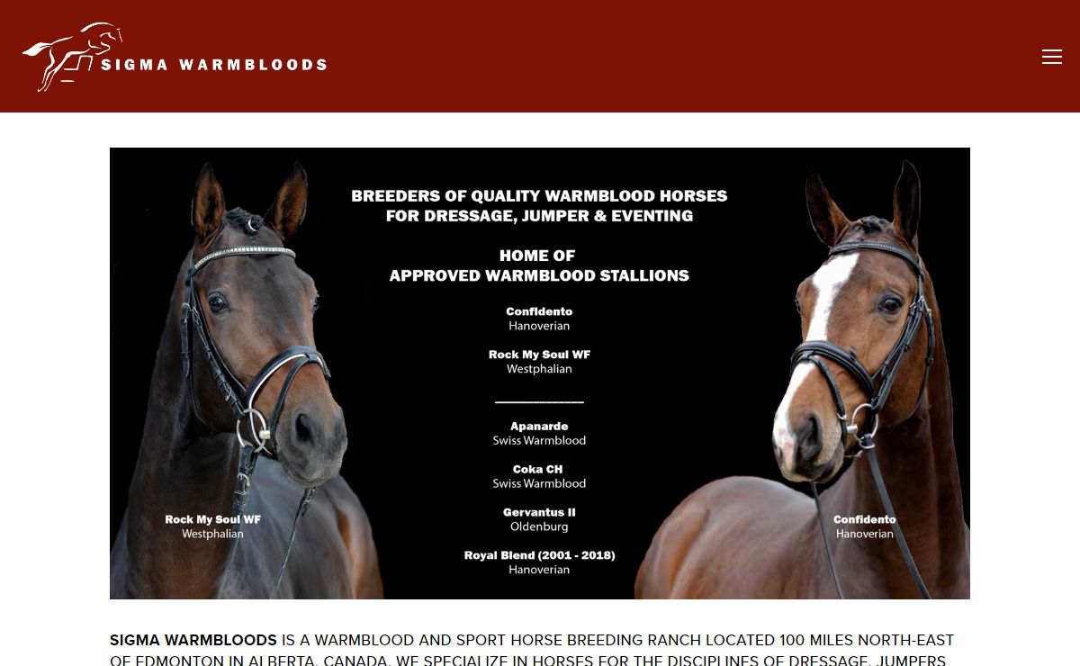 Sigma Warmbloods