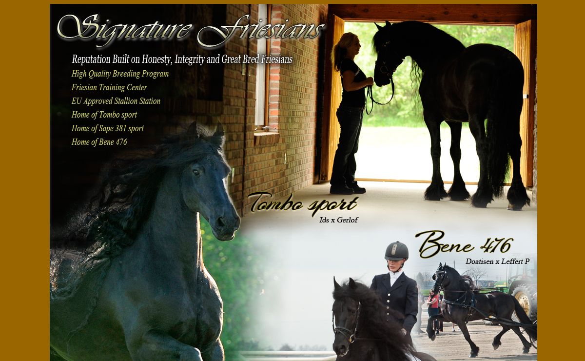 Signature Friesians - Training Center and Stallion Station