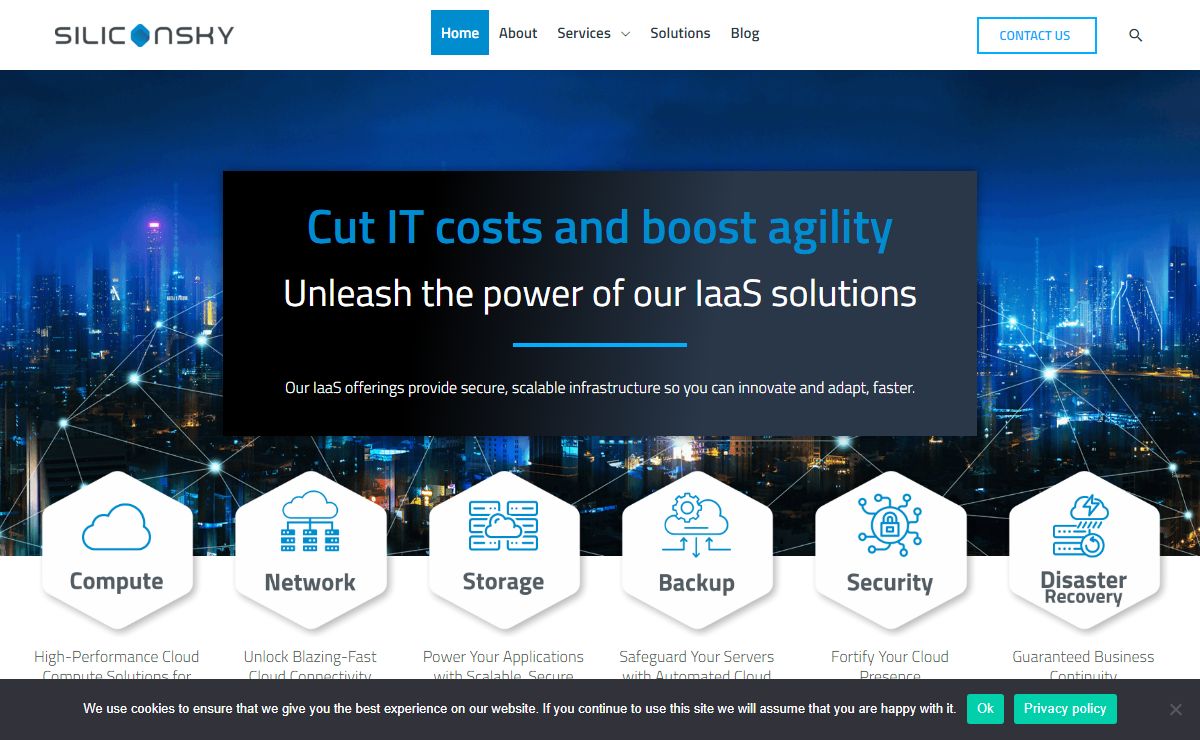 Silicon Sky | Infrastructure expertise. Agility unleashed.