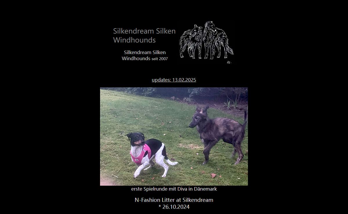 Silkendream Silken Windhounds