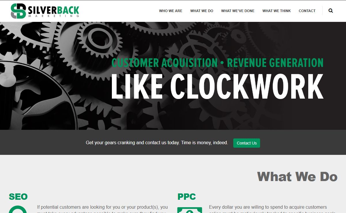 ROI-focused Digital Marketing Agency | Silverback Marketing