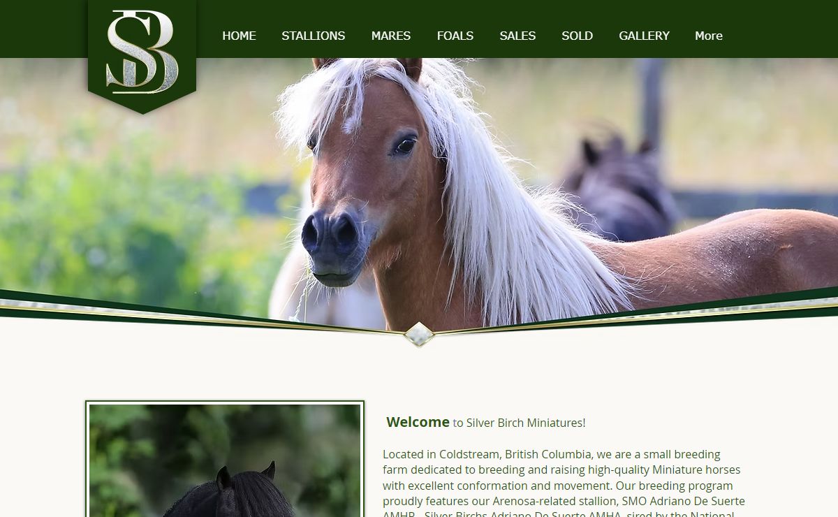 Silver Birch Miniatures | Breeder | Vernon, BC, Canada