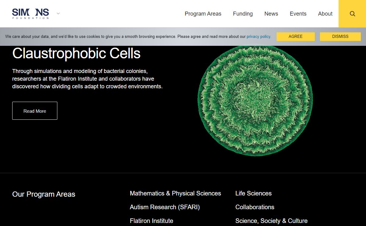 Advancing Research in Basic Science and Mathematics | Simons Foundation