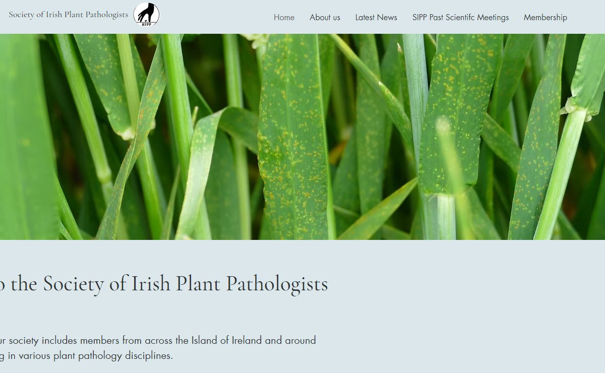 Home | Society Of Irish Pla