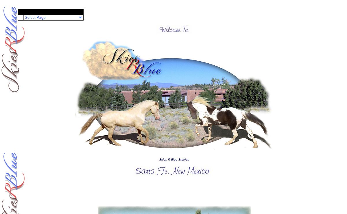 Naturally Gaited Tennessee Walking Horses in New Mexico