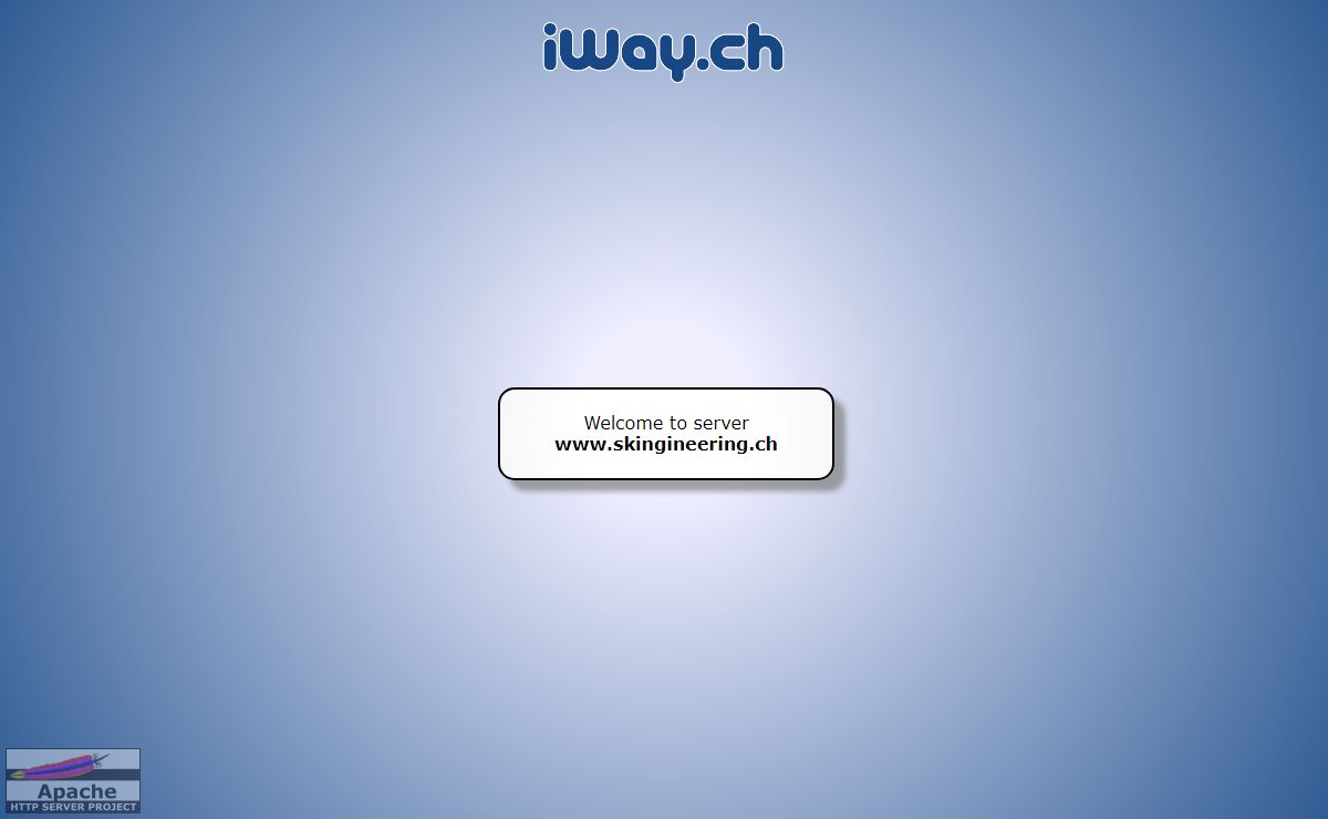 www.skingineering.ch