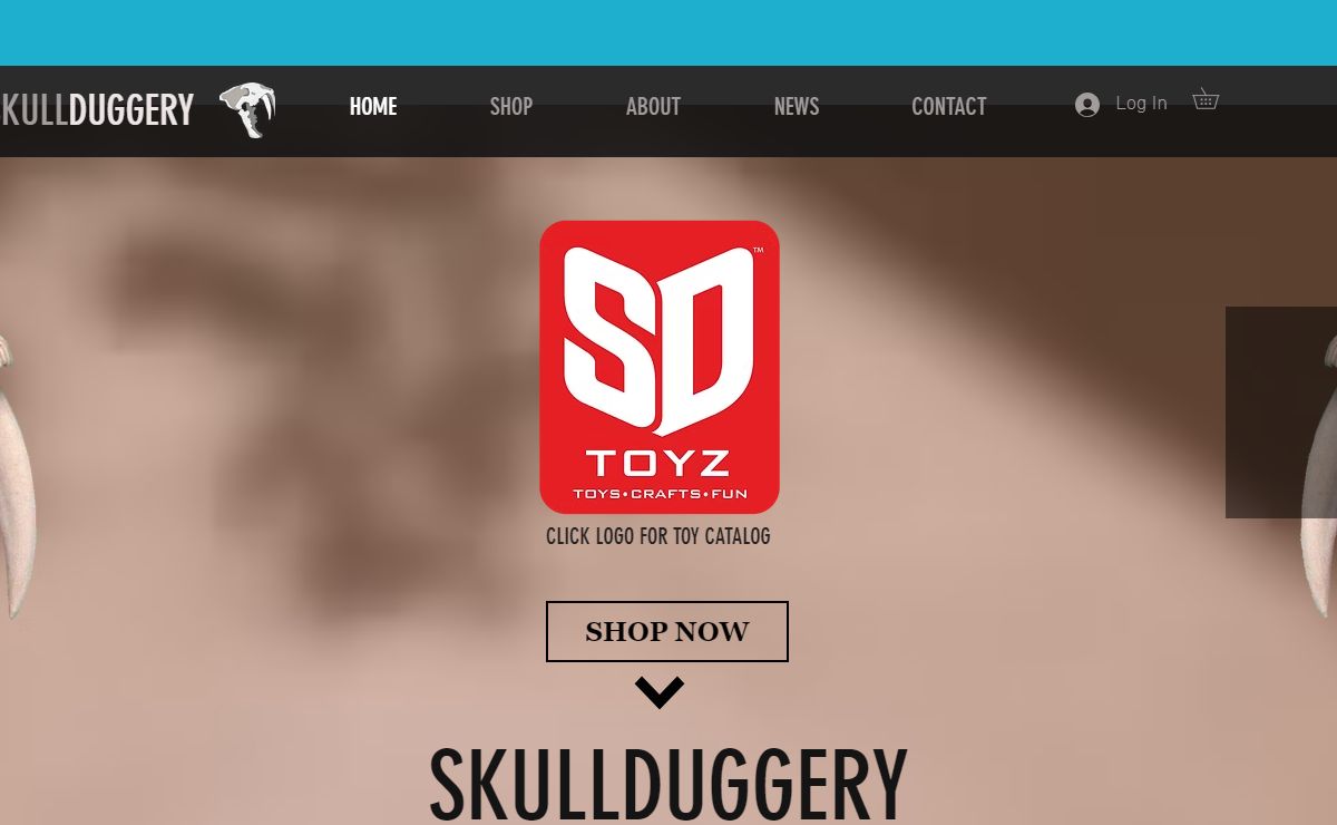 Skull Duggery | Museum Quality Skull Replicas
