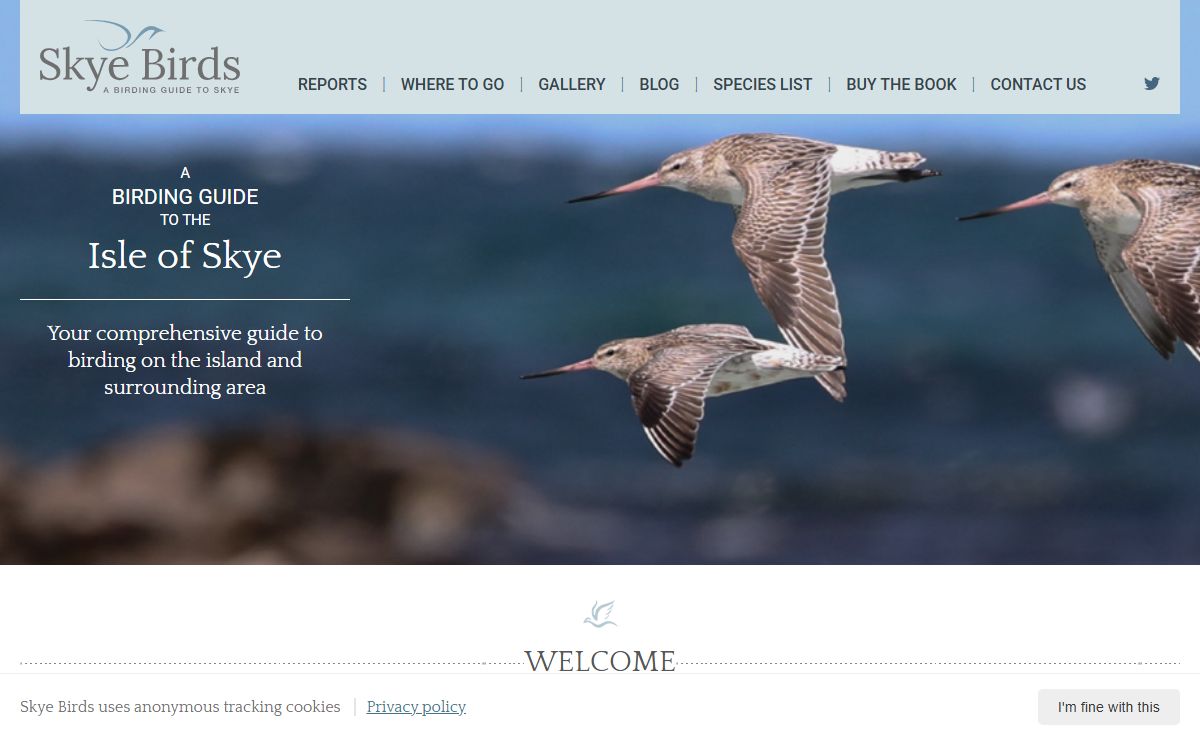 Isle of Skye birding guide | Skye Birds