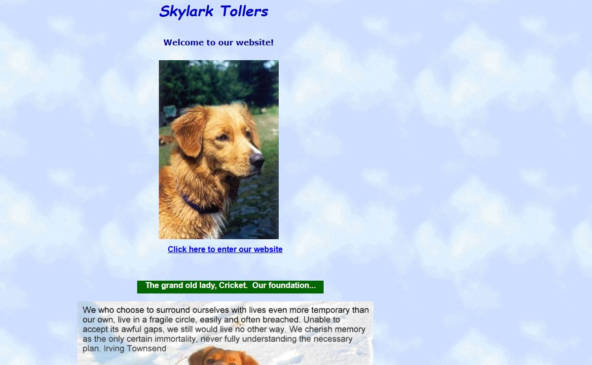Skylark Tollers